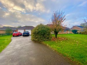 Photo 16- click for photo gallery